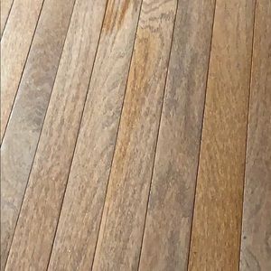 Meet your Posher, Bhavna